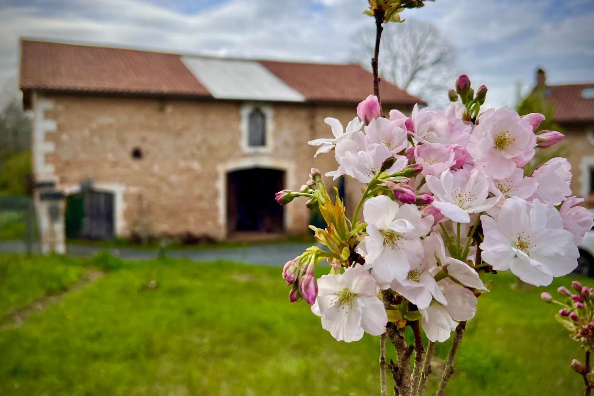 Ferme Gite Le Coeur Des Petits Chenes Saint-Pierre-de-Cole Екстер'єр фото