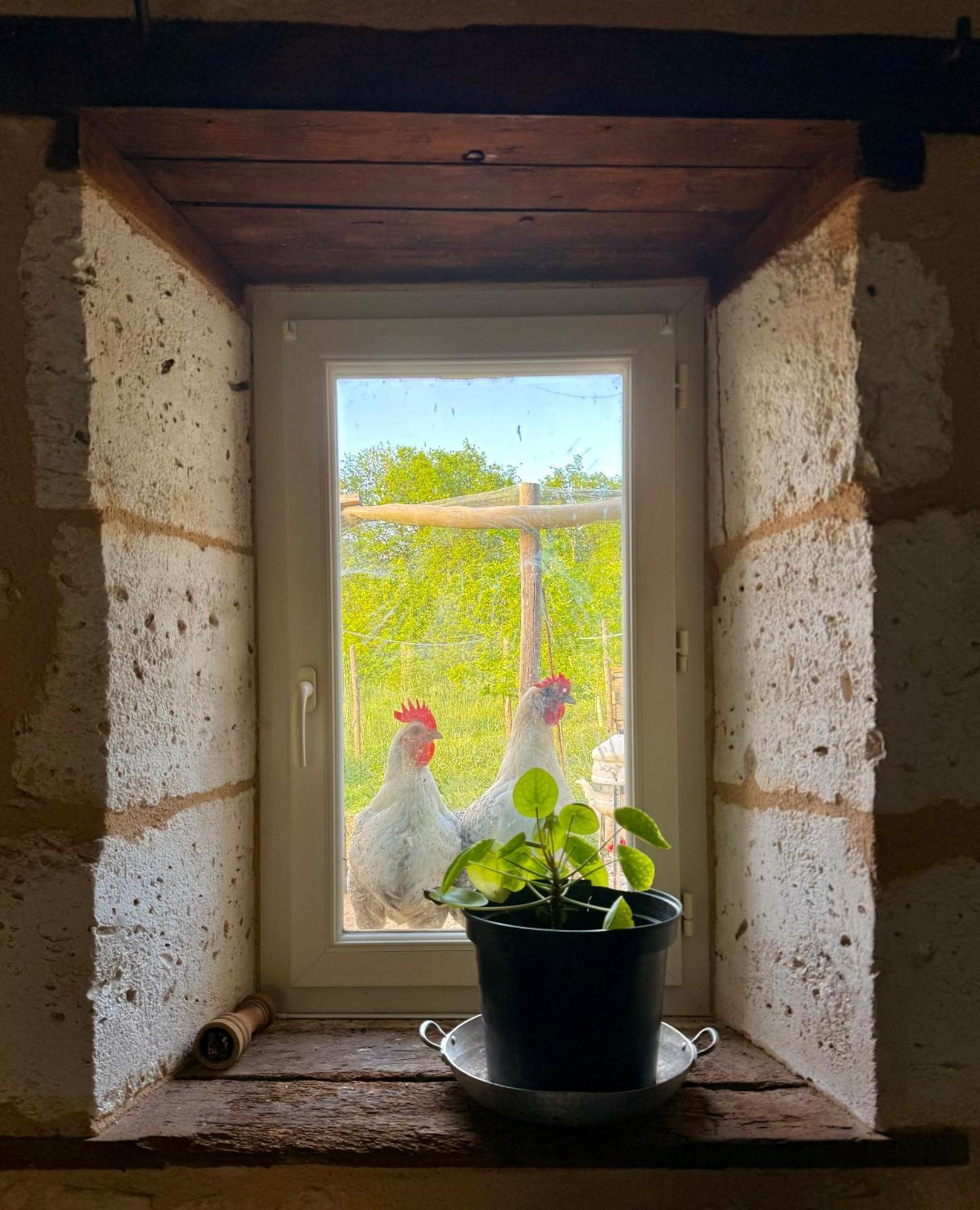 Ferme Gite Le Coeur Des Petits Chenes Saint-Pierre-de-Cole Екстер'єр фото